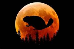 beaver moon