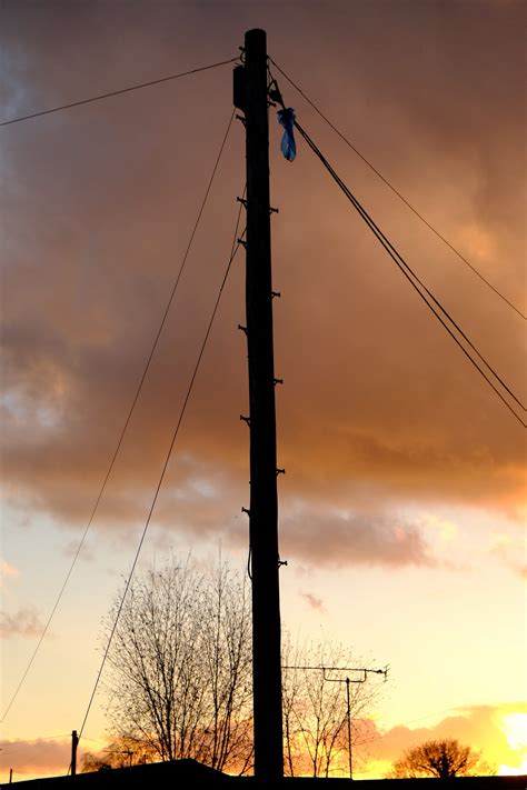 utility poles