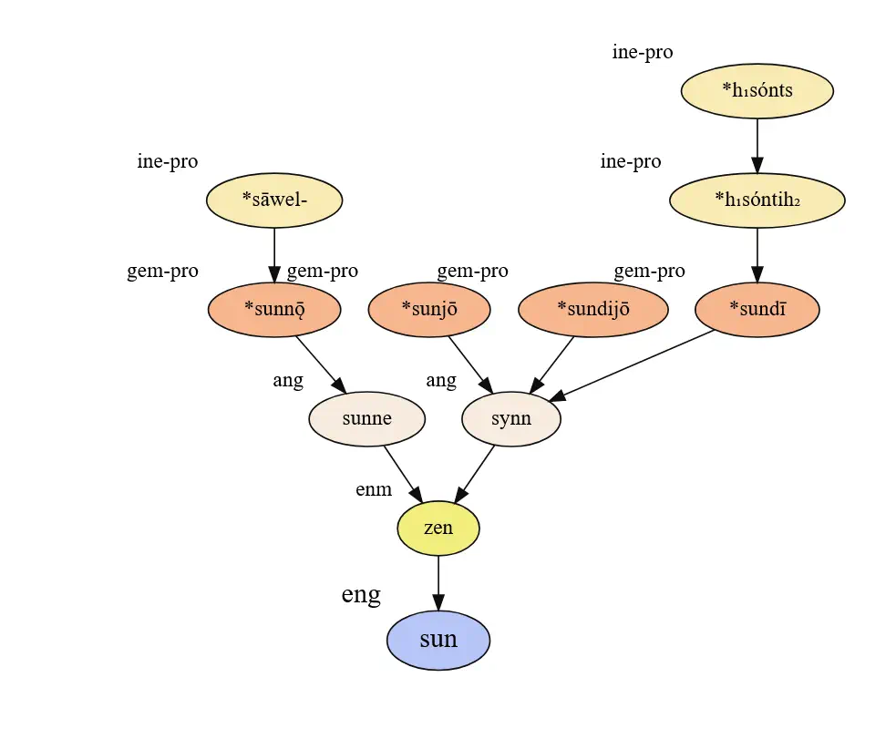 sun word roots