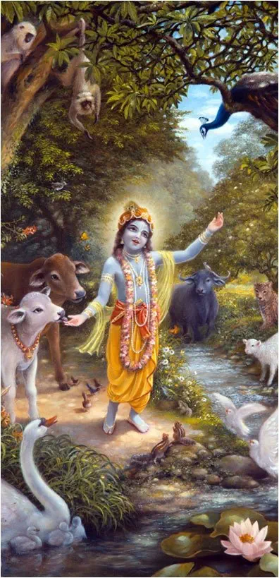 young krishna